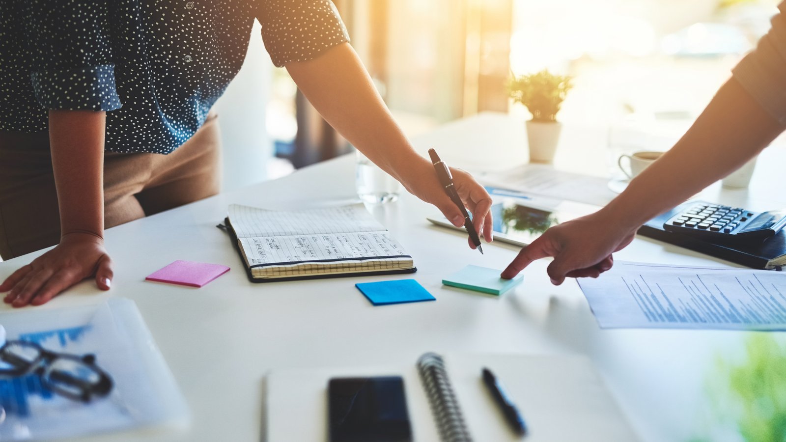 Student planning career roadmap